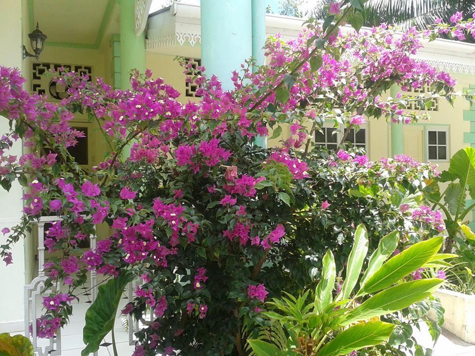 Palm Beach Hotel Grand Anse  Eksteriør bilde